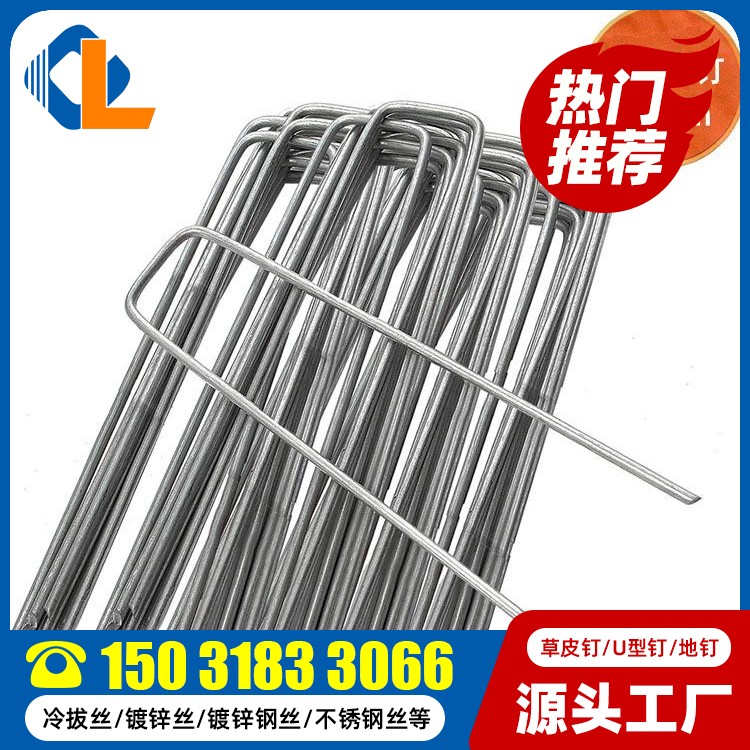 20cm長(zhǎng)草皮釘