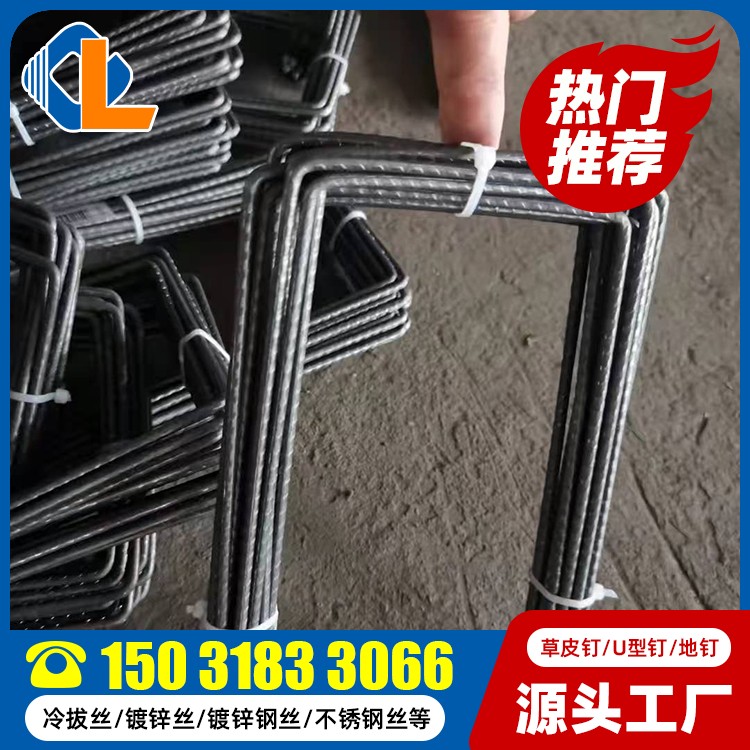 草皮釘生產(chǎn)廠家 方頭地釘 土工格柵U型釘尺寸規(guī)范 土工格柵草皮釘尺寸規(guī)范