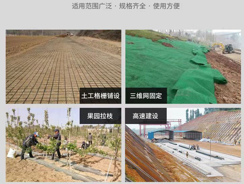 10cm長(zhǎng)草皮釘